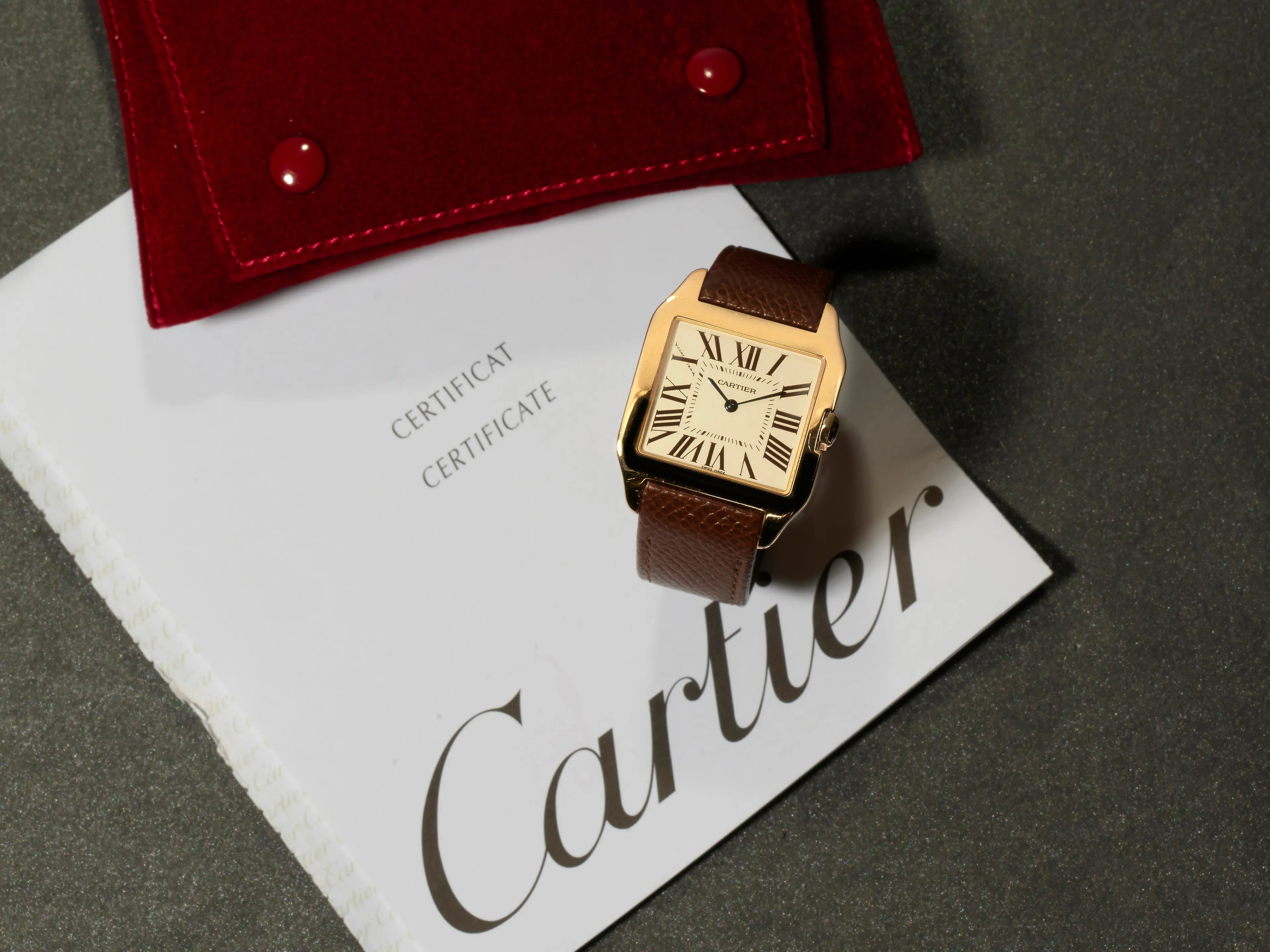 Cartier Santos W2009251 30mm Rose gold Silver