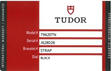 Tudor Heritage 79620TN 42mm Titanium and Stainless steel Black 2