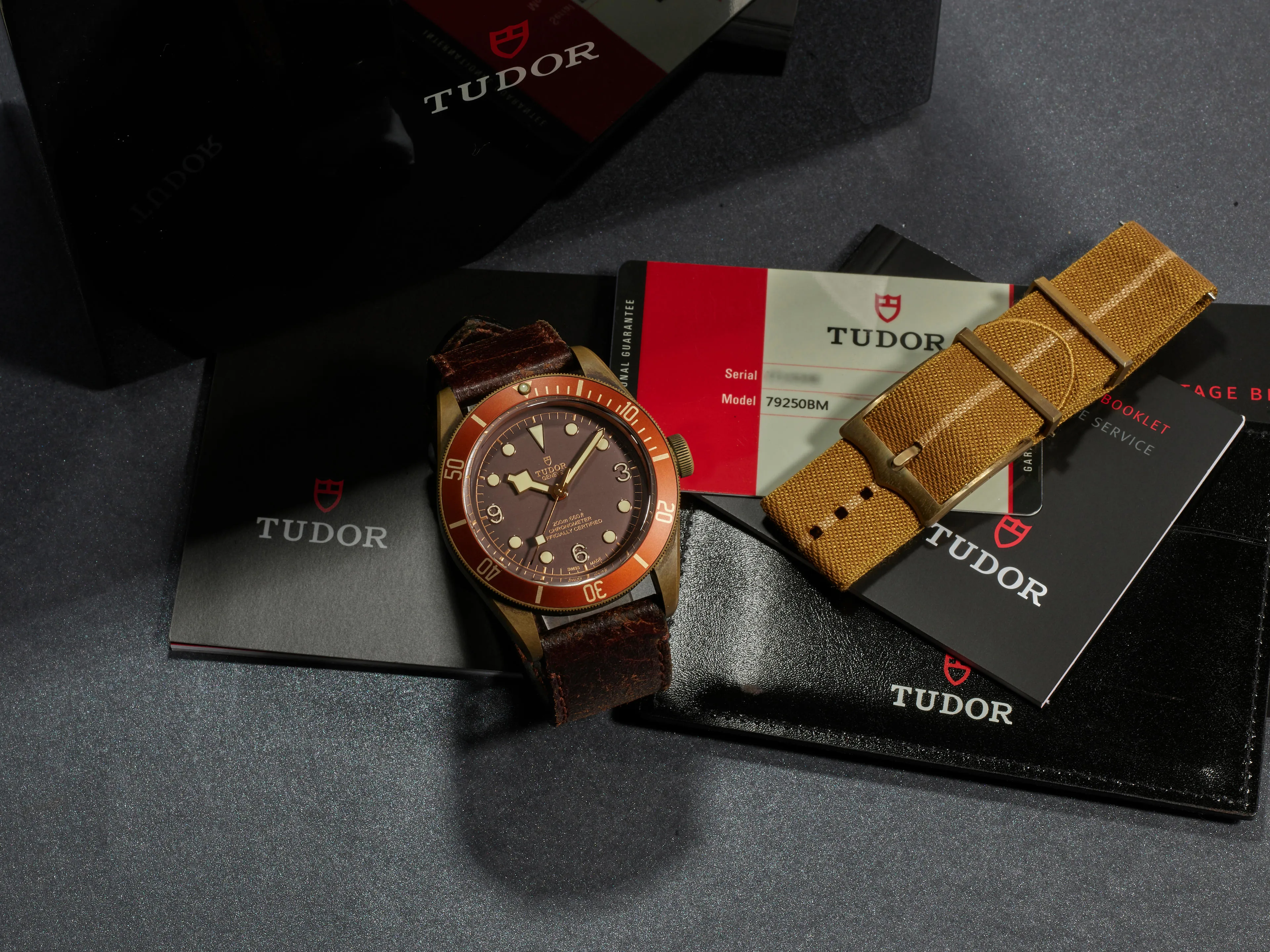 Tudor Black Bay Bronze 79250BM 43mm Bronze Brown 1