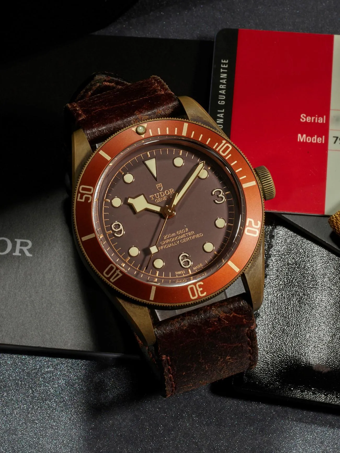 Tudor Black Bay Bronze 79250BM 43mm Bronze Brown 2