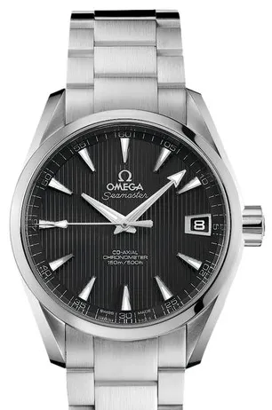 Omega Aqua Terra 231.10.39.21.06.001 39mm Steel Grey