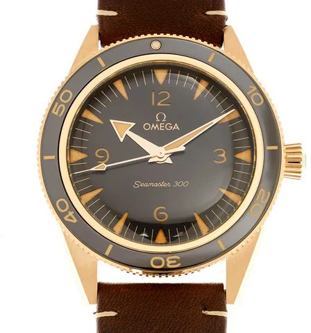 Omega Seamaster 300 234.92.41.21.10.001 41mm Bronze Black