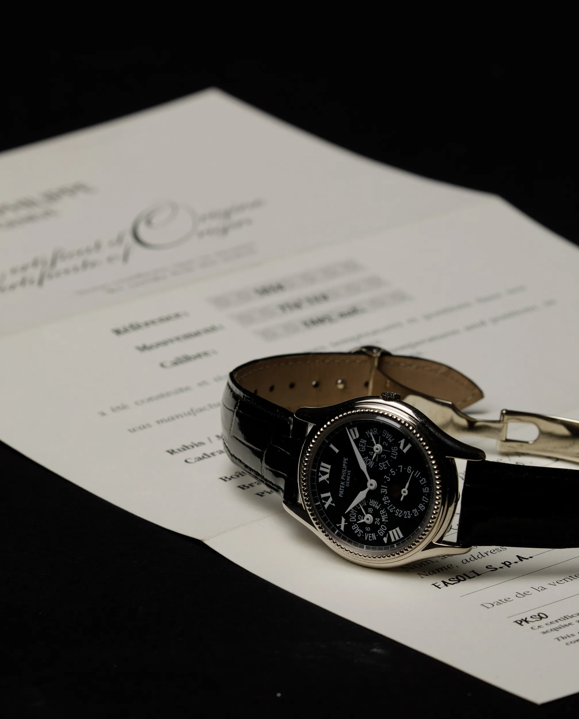 Patek Philippe Perpetual Calendar 5038 Stainless steel Black 2