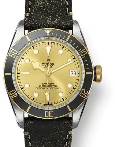 Tudor Black Bay Tudor Black Bay S&G M79733N-0003 41mm Steel Champagne