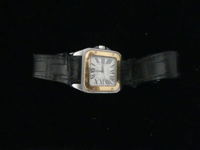 Cartier Santos 2878 Yellow gold and Stainless steel White 1