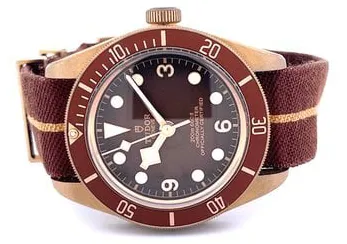 Tudor Black Bay M79012M-0001 39mm Bronze Brown