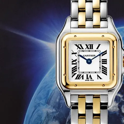 Cartier Panthère W2PN0006 22mm Yellow gold and Stainless steel Silver