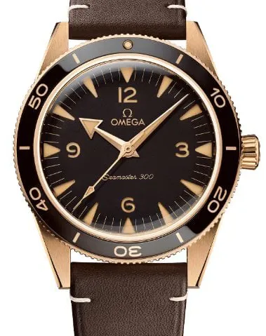 Omega Seamaster 300 234.92.41.21.10.001 41mm Bronze Black