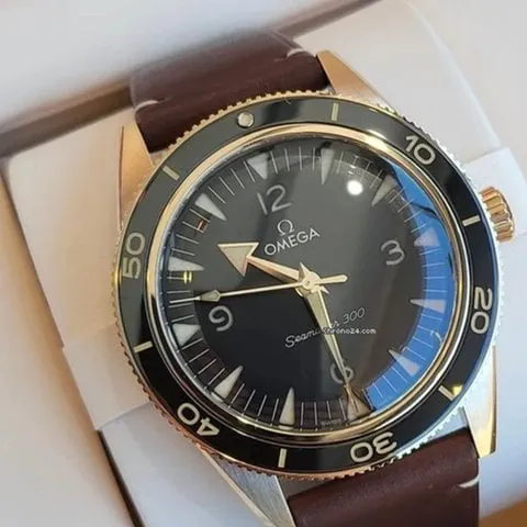 Omega Seamaster 300 234.92.41.21.10.001 41mm Bronze