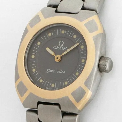 Omega Seamaster 595.0072 22mm Titanium Silver