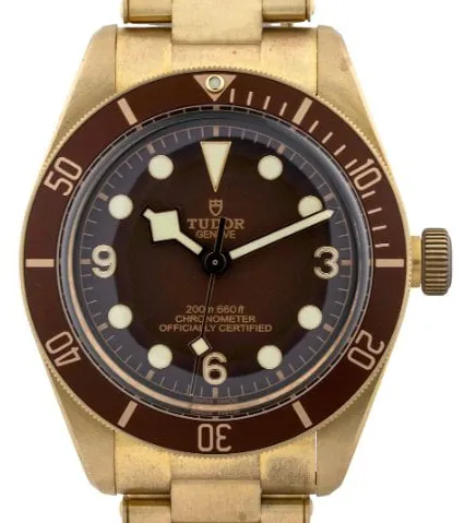 Tudor Black Bay M79012M-0001 39mm Bronze Brown