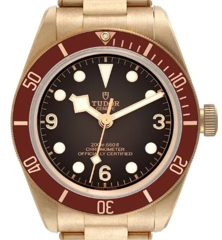 Tudor Black Bay M79012M-0001 39mm Bronze