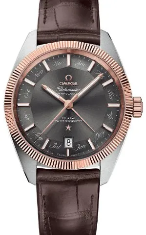 Omega Globemaster 130.23.41.22.06.001 41mm Stainless steel Gray