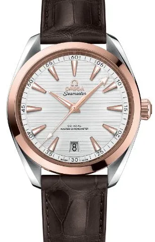 Omega Aqua Terra 220.23.41.21.02.001 41mm Gold/steel Silver