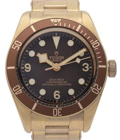 Tudor Black Bay M79012M-0001 39mm Bronze Brown