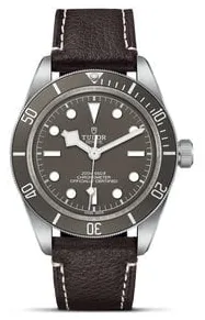 Tudor Black Bay M79010SG-0001 39mm Silver Grey