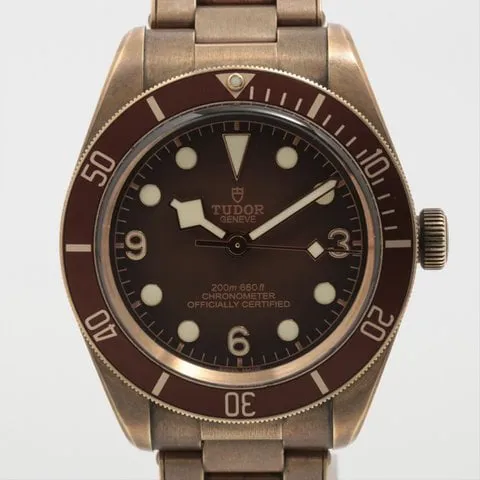 Tudor Black Bay M79012M-0001 39mm Bronze Brown