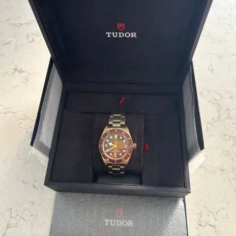 Tudor Black Bay M79012M-0001 39mm Bronze Brown