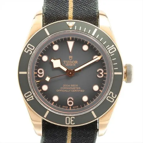 Tudor Black Bay 79250BA-0002 43mm Bronze Gray