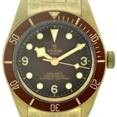 Tudor Black Bay M79012M-0001 39mm Bronze Brown