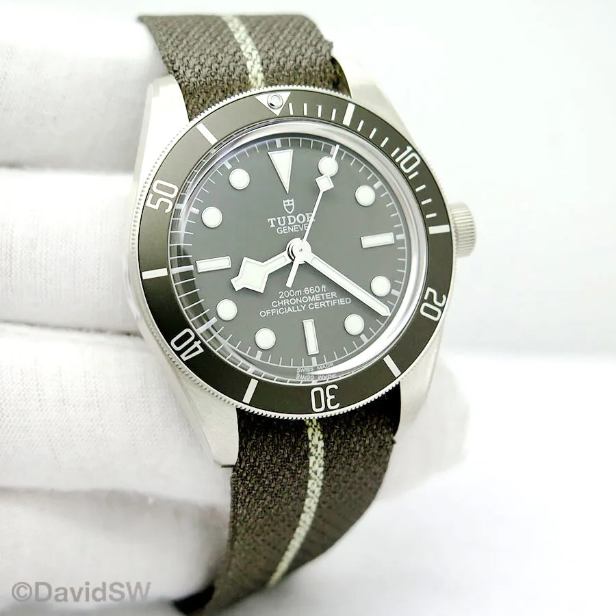 Tudor Black Bay 58 79010SG-0001 39mm Silver Gray