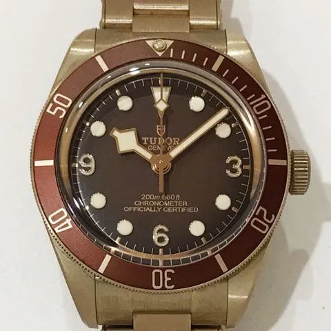 Tudor Black Bay M79012M-0001 39mm Bronze Brown