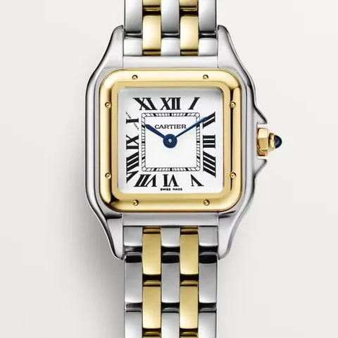 Cartier Panthère W2PN0006 22mm Yellow gold and Stainless steel Silver