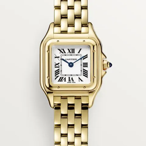 Cartier Panthère WGPN0038 22mm Yellow gold Silver