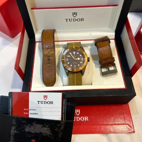 Tudor Black Bay Bronze 79250BM 43mm Bronze Brown