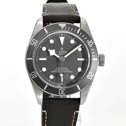 Tudor Black Bay M79010SG-0001 39mm Silver Grey