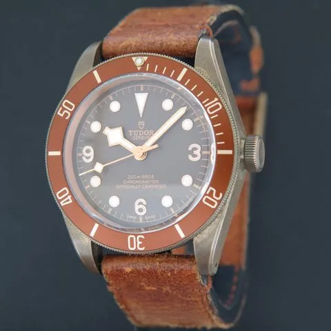 Tudor Black Bay Bronze 79250BM 41mm Bronze Brown