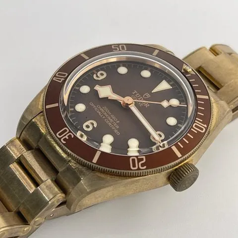 Tudor Black Bay M79012M-0001 39mm Bronze Brown