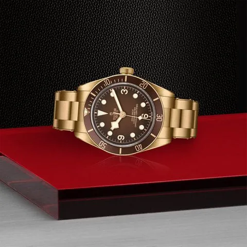 Tudor Black Bay M79012M-0001 39mm Bronze Brown