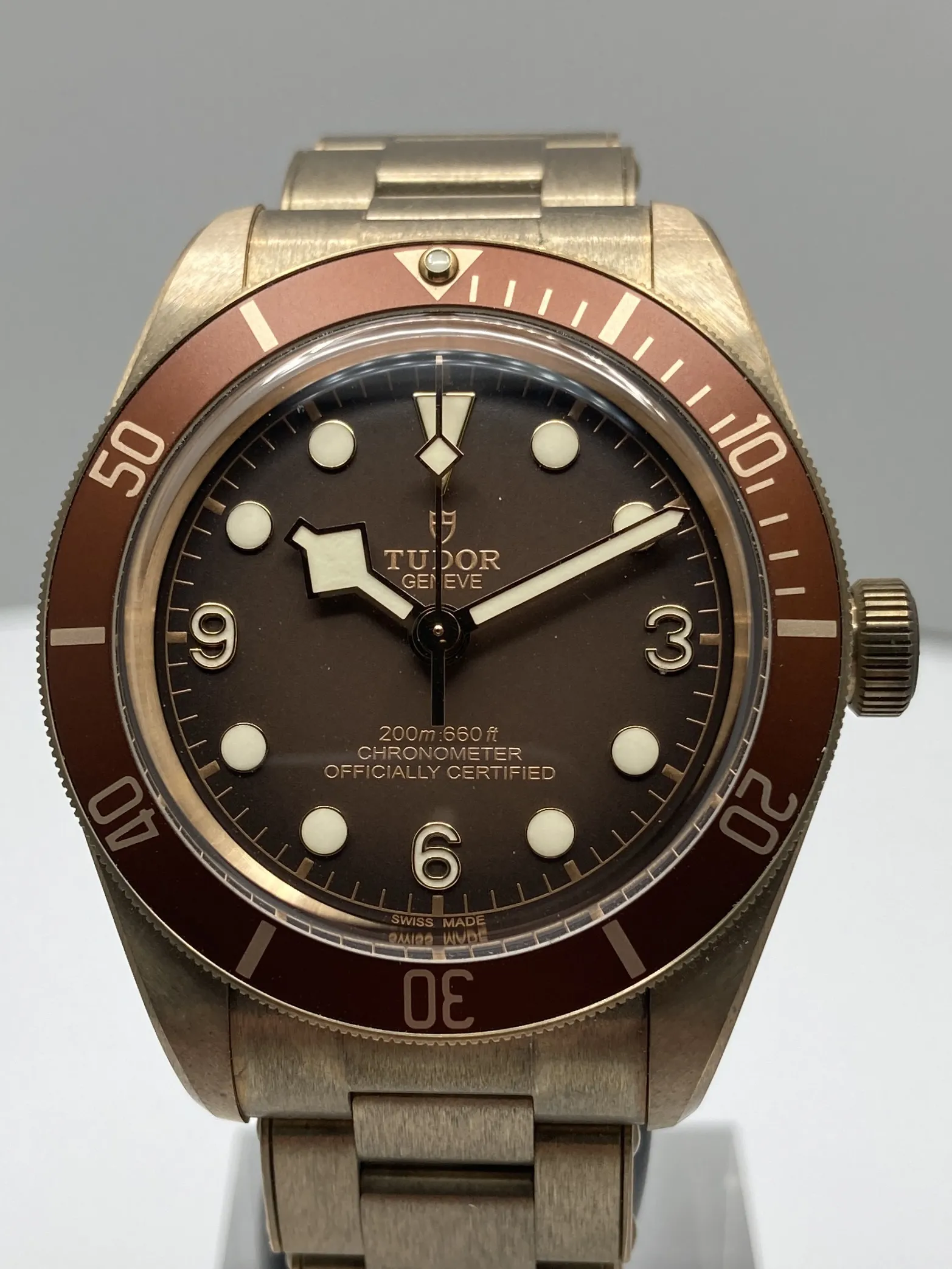 Tudor Black Bay 58 79012M nullmm