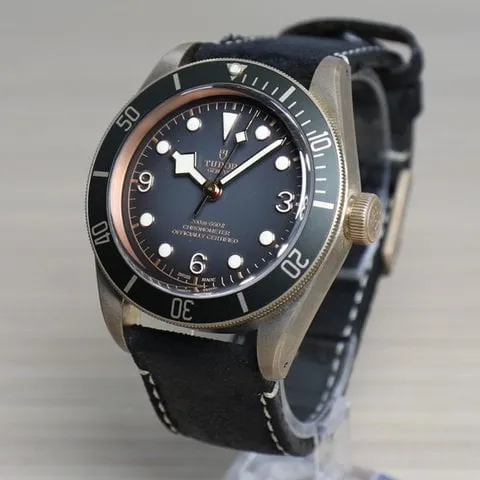 Tudor Black Bay 79250BA 43mm Bronze Gray