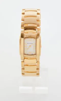 Bulgari Assioma AA31G 22mm Yellow gold White