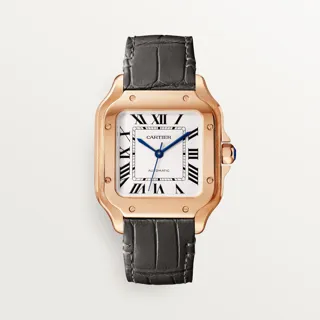 Cartier Santos WGSA0028 Rose gold Silver