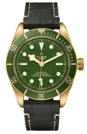 Tudor Black Bay M79018V-0001 39mm Yellow gold Green