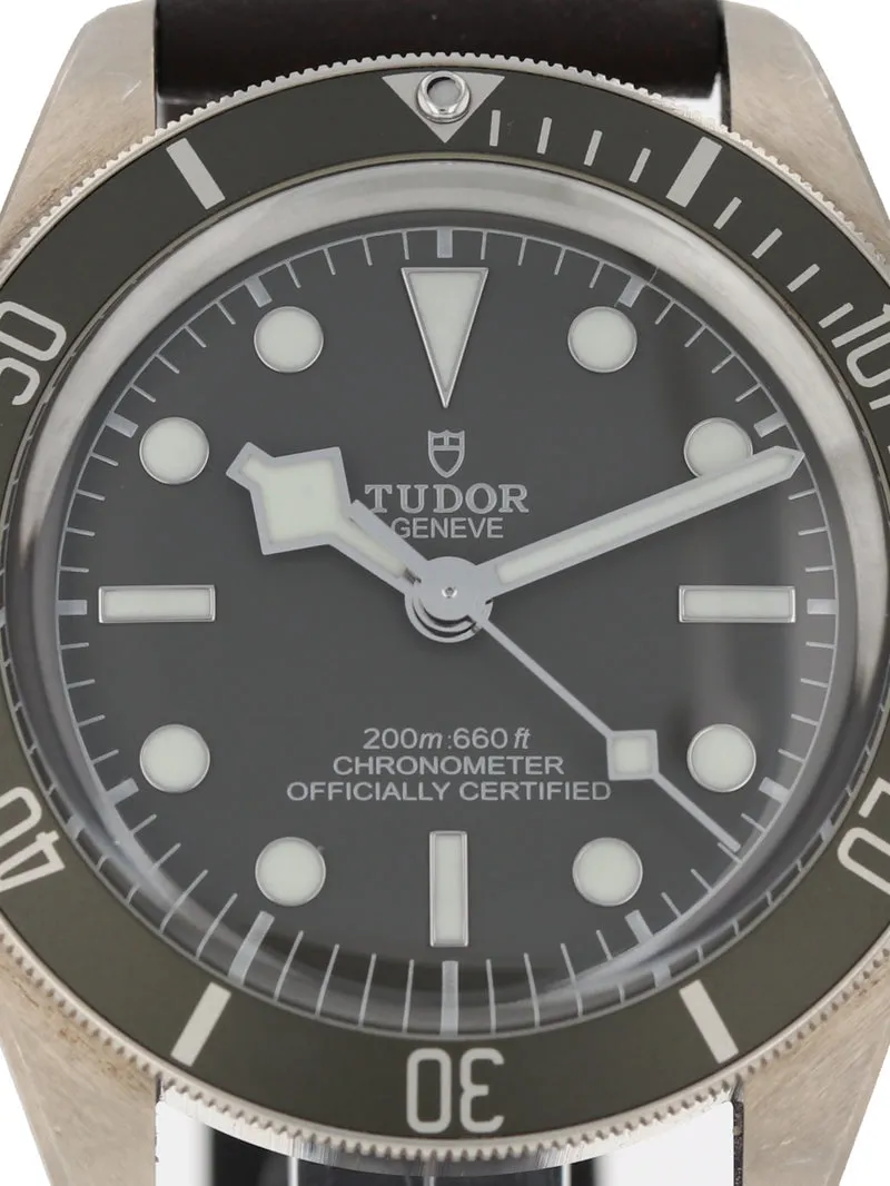 Tudor Black Bay 58 79010SG 39mm Silver Gray 2