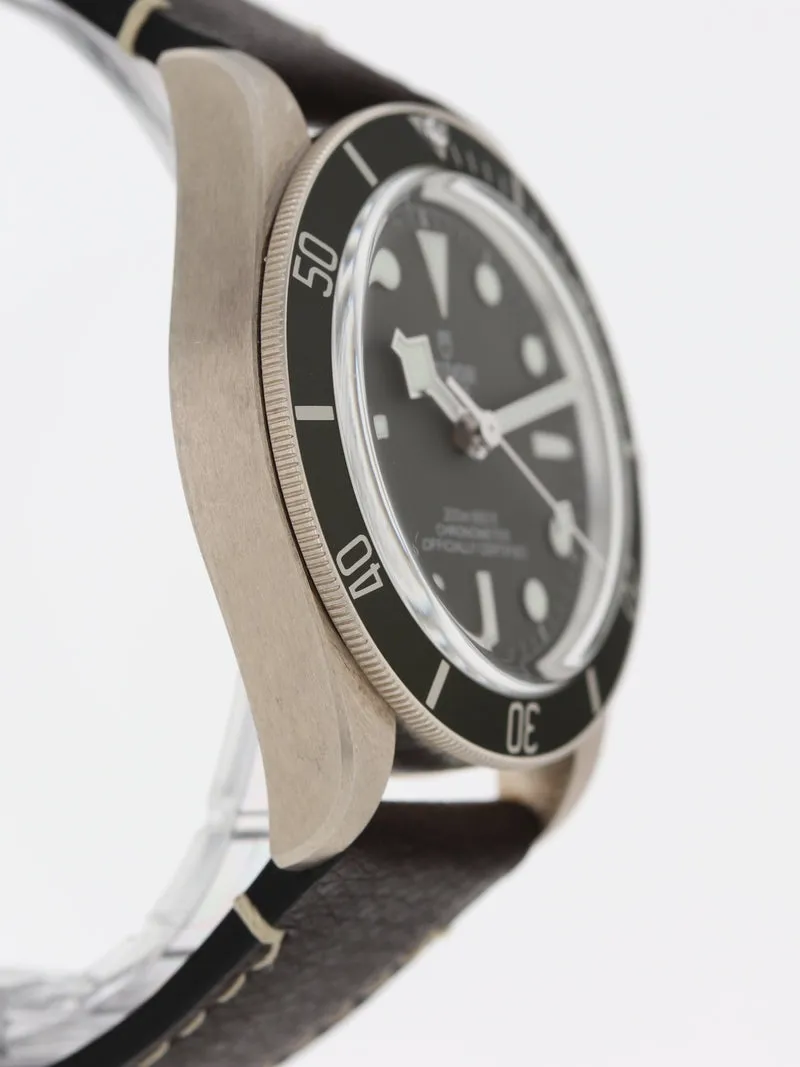 Tudor Black Bay 58 79010SG 39mm Silver Gray 4