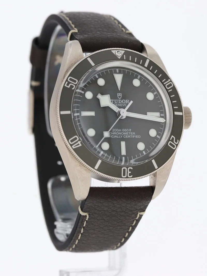 Tudor Black Bay 58 79010SG 39mm Silver Gray 5