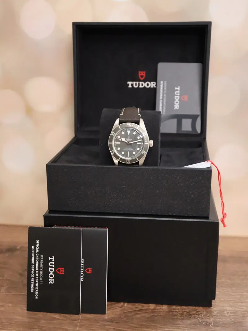 Tudor Black Bay 58 79010SG 39mm Silver Gray 8