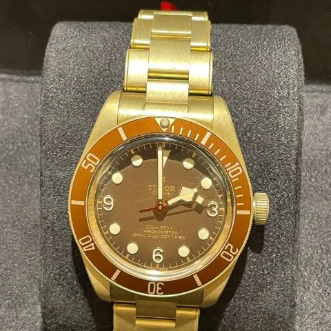 Tudor Black Bay M79012M-0001 39mm Bronze Brown