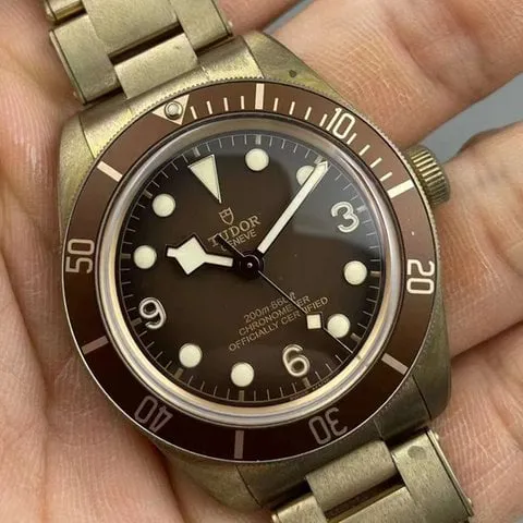 Tudor Black Bay M79012M-0001 39mm Bronze Brown