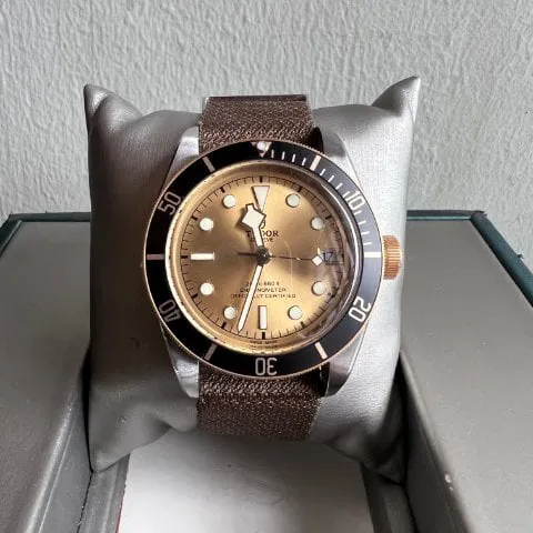 Tudor Black Bay S&amp;G M79733N-0006 41mm Stainless steel Golden