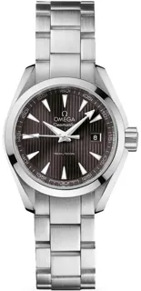 Omega Aqua Terra 231.10.30.60.06.001 Stainless steel Gray