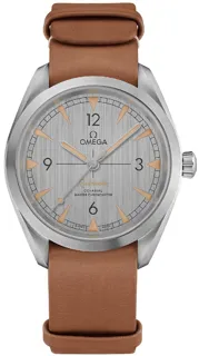 Omega Railmaster 220.12.40.20.06.001 Stainless steel Gray