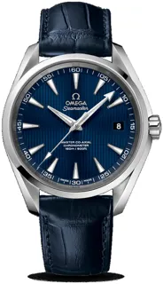 Omega Aqua Terra 231.13.42.21.03.001 Stainless steel