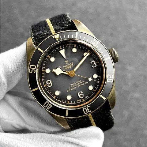 Tudor Black Bay 79250BA 43mm Bronze Gray