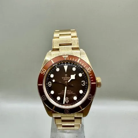 Tudor Black Bay M79012M-0001 39mm Bronze Brown